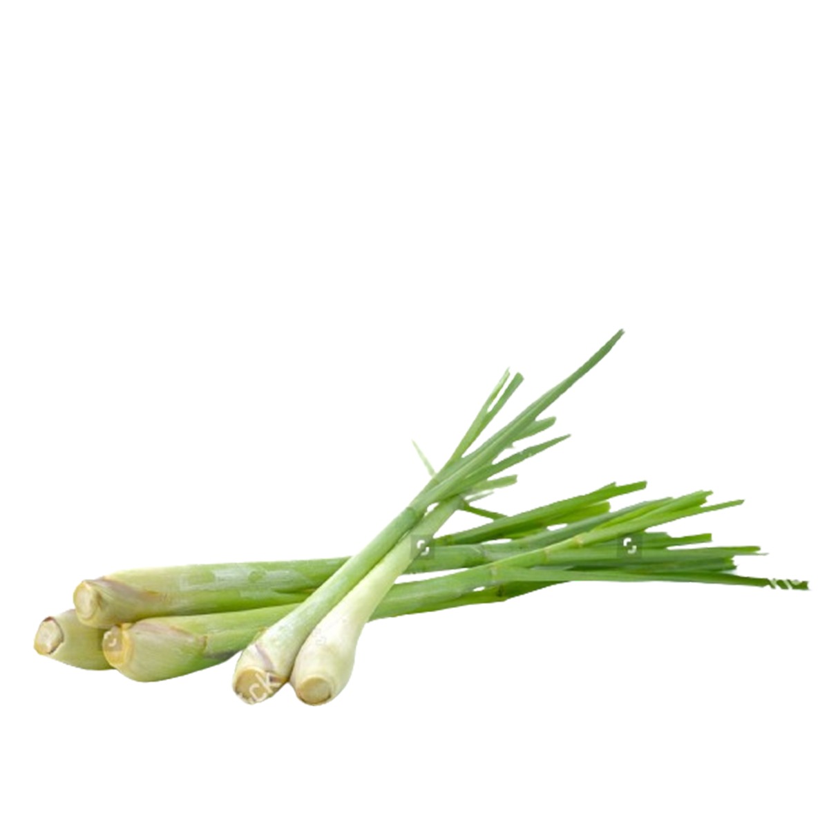 Lemon grass